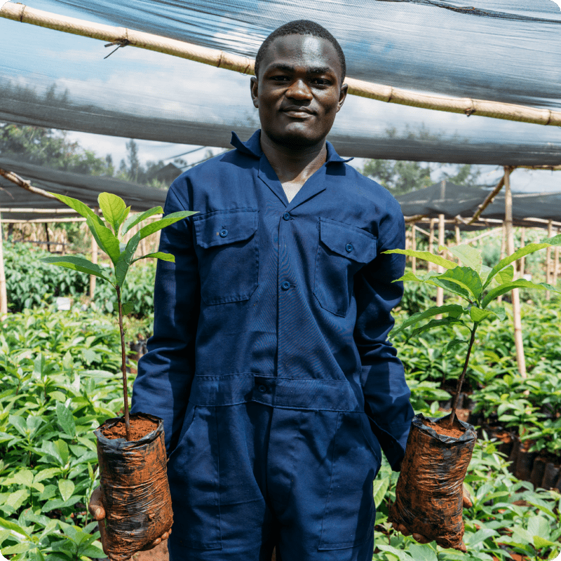 Hongera Reforestation Project_gallery 3-min