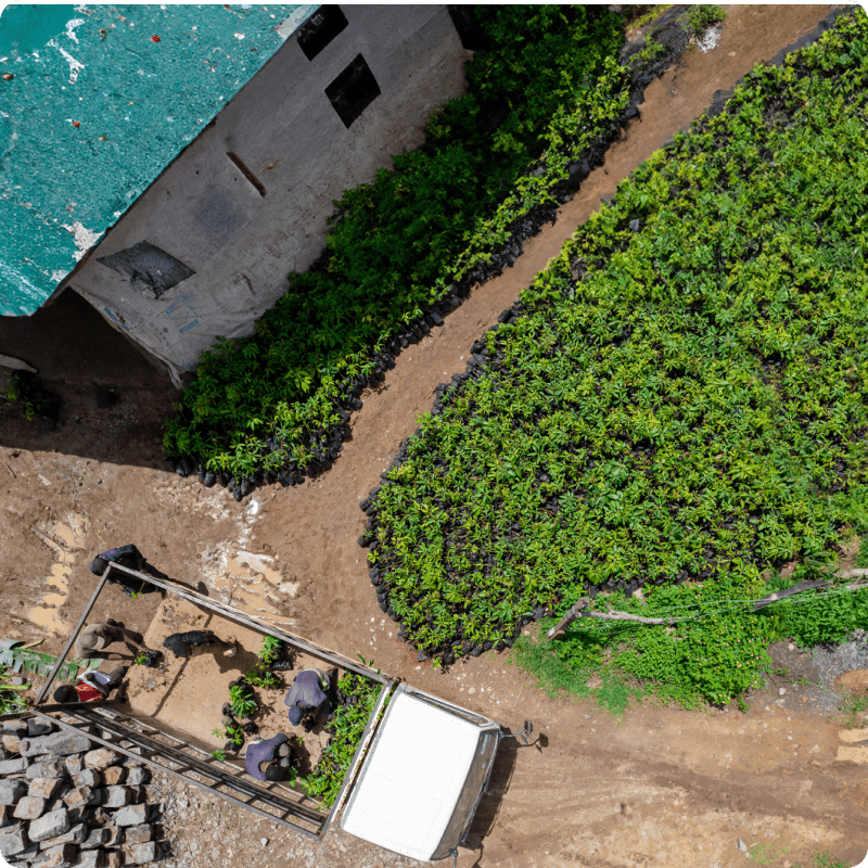 Hongera Reforestation Project_gallery 5-min