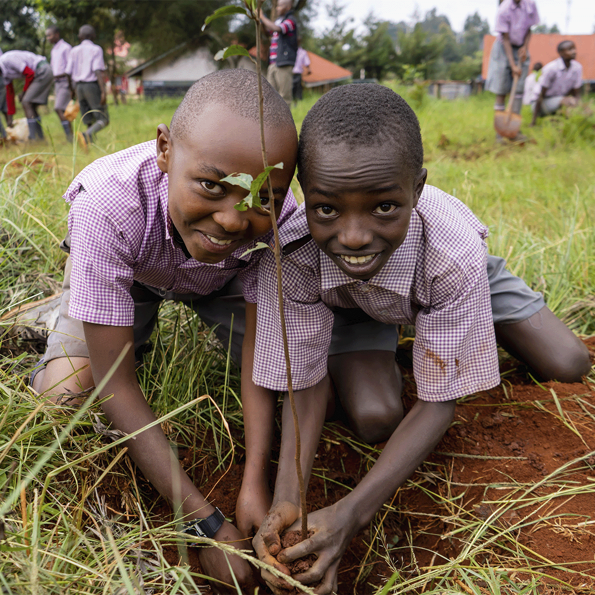 Hongera Reforestation Project_two pupils planting a seedling