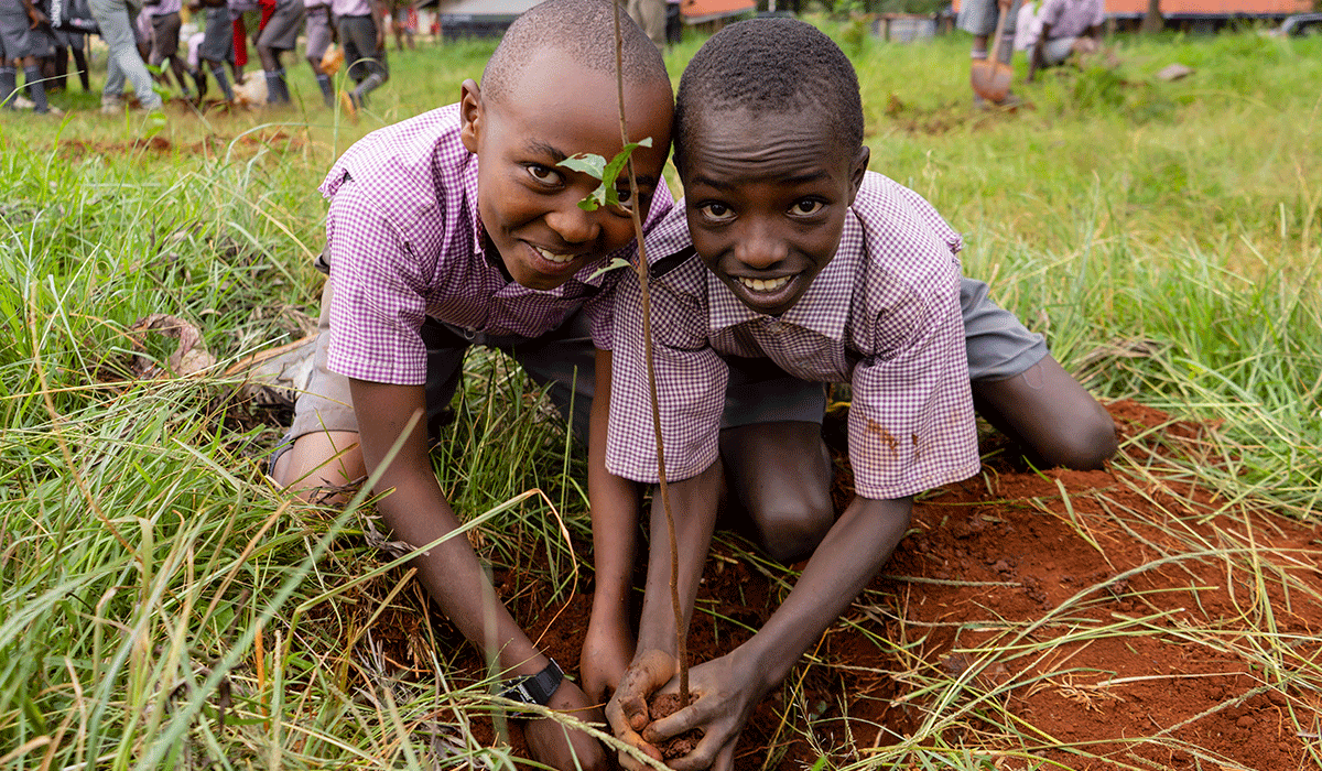 Hongera-Reforestation-ProjectHongera-Reforestation-Project_reforestation-with-local-communities