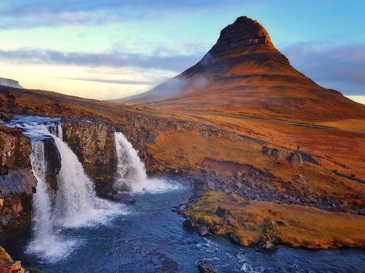 How Iceland is regrowing forests destroyed by the Vikings