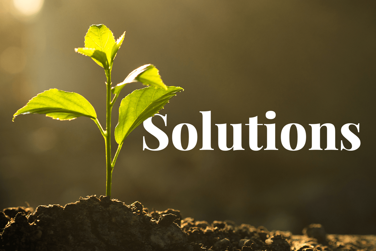 How Nature-Based Solutions Can Help Meet the Paris Agreement’s Goals_visual 1