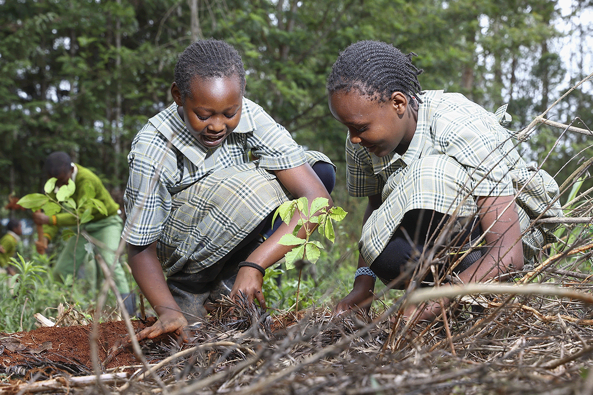 How are carbon credits issued_Two pupils planting a seedling at school in Kenya_visual 6