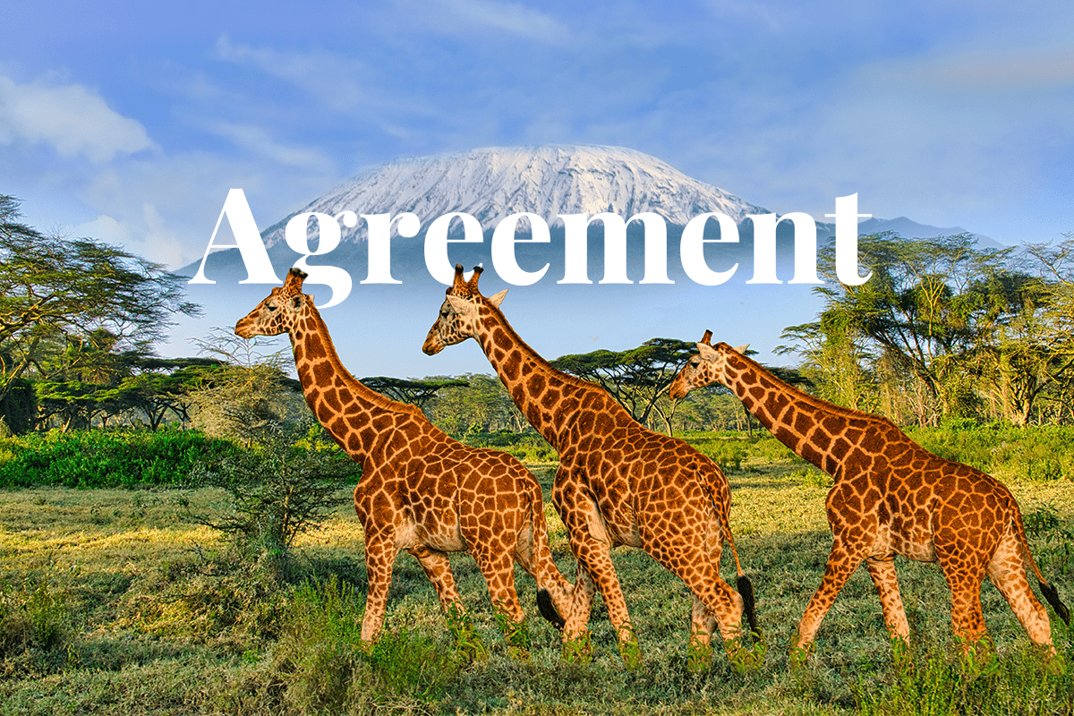How biodiversity loss and COP15 affect investors_visual 1 (1)
