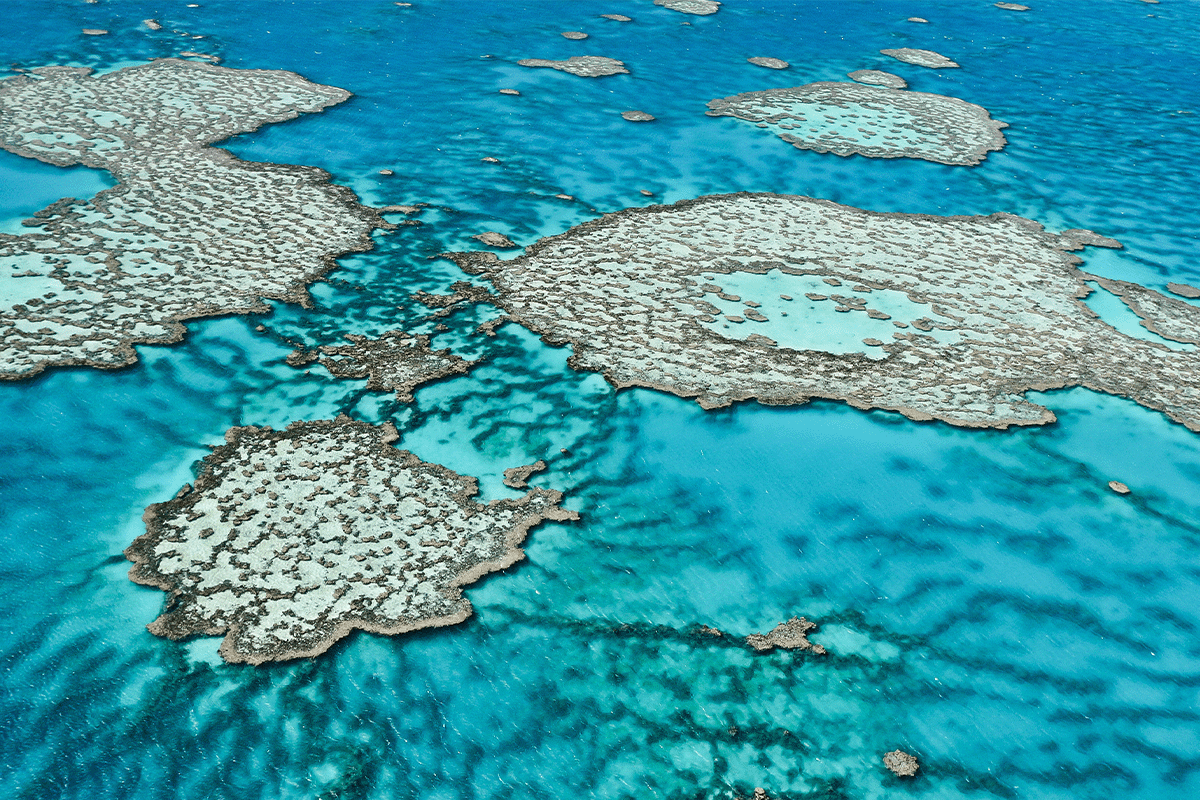 How biodiversity loss impacts ecosystems and what we can do to help_aerial view on Great Barrier Reef off the coast of Queensland_visual 10
