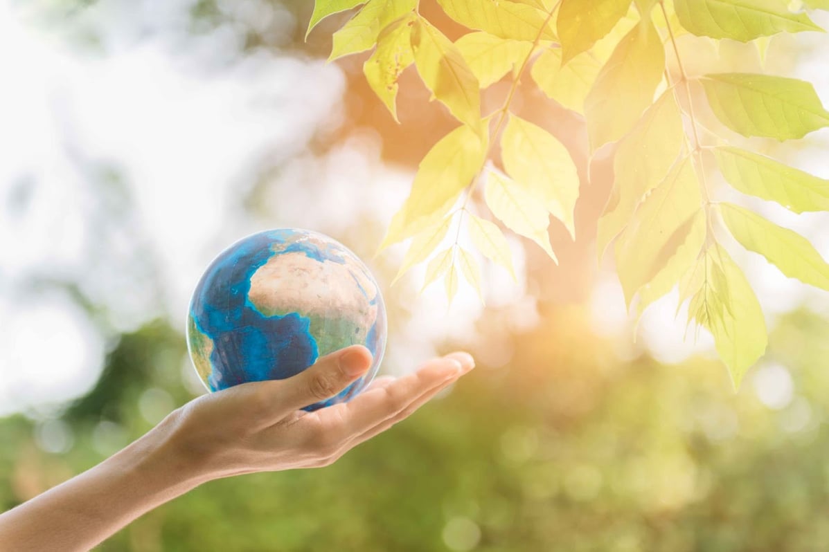 How do carbon footprints work