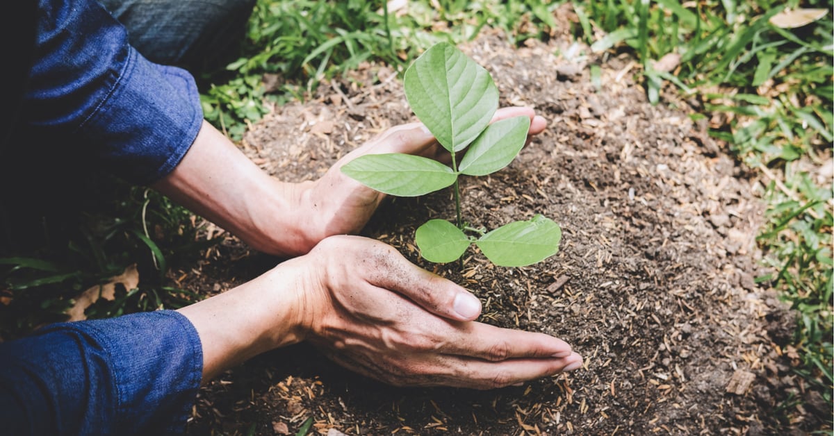 How do carbon footprints work