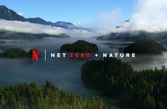 How global firms like Netflix buy and use carbon credits-3
