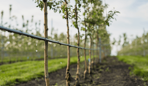 10 Agricultural techniques for water conservation