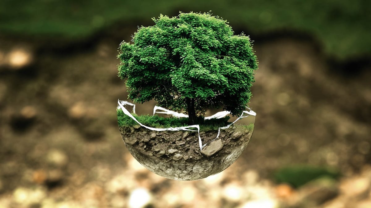 How to help the environment Five little things we can all do