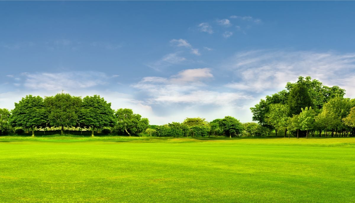 How to reduce your carbon footprint and help the environment