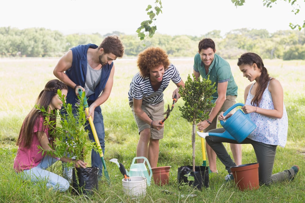 How tree planting can boost employee engagement-1