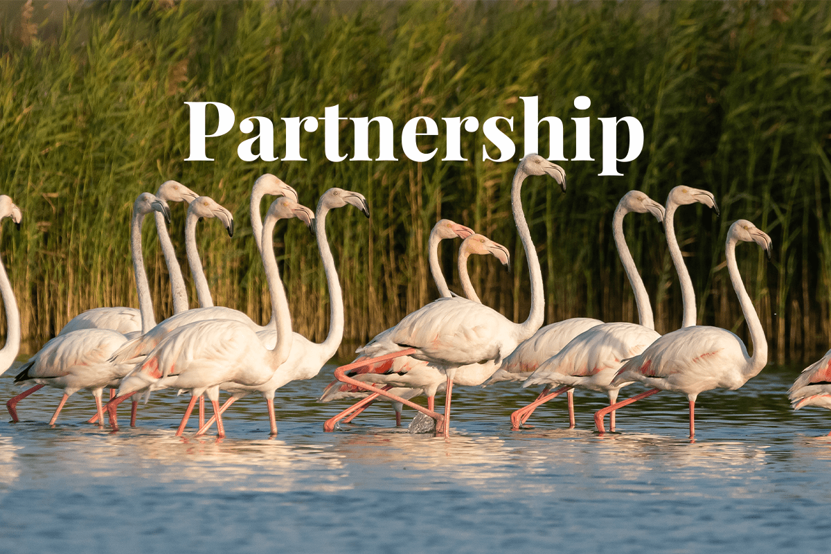 ICAP and IETA expand their collaboration to hold the Regional Climate Summits