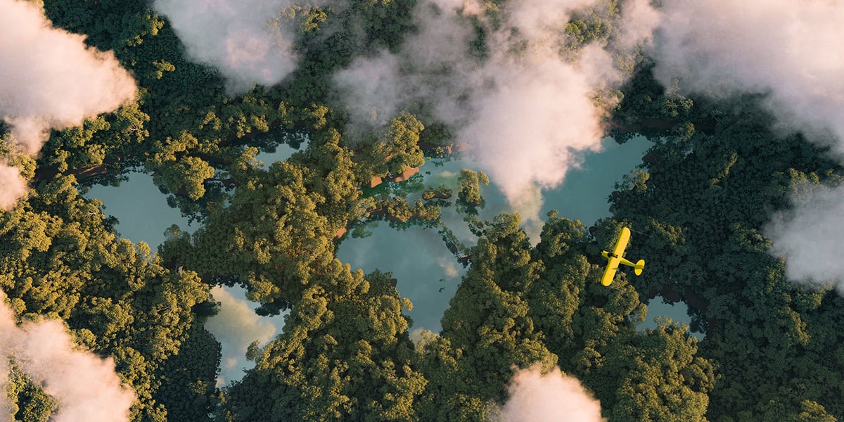 Impact of forests on biodiversity