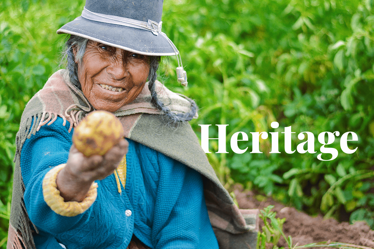 Indigenous communities_ leading the way in biodiversity conservation in Latin America_visual 1