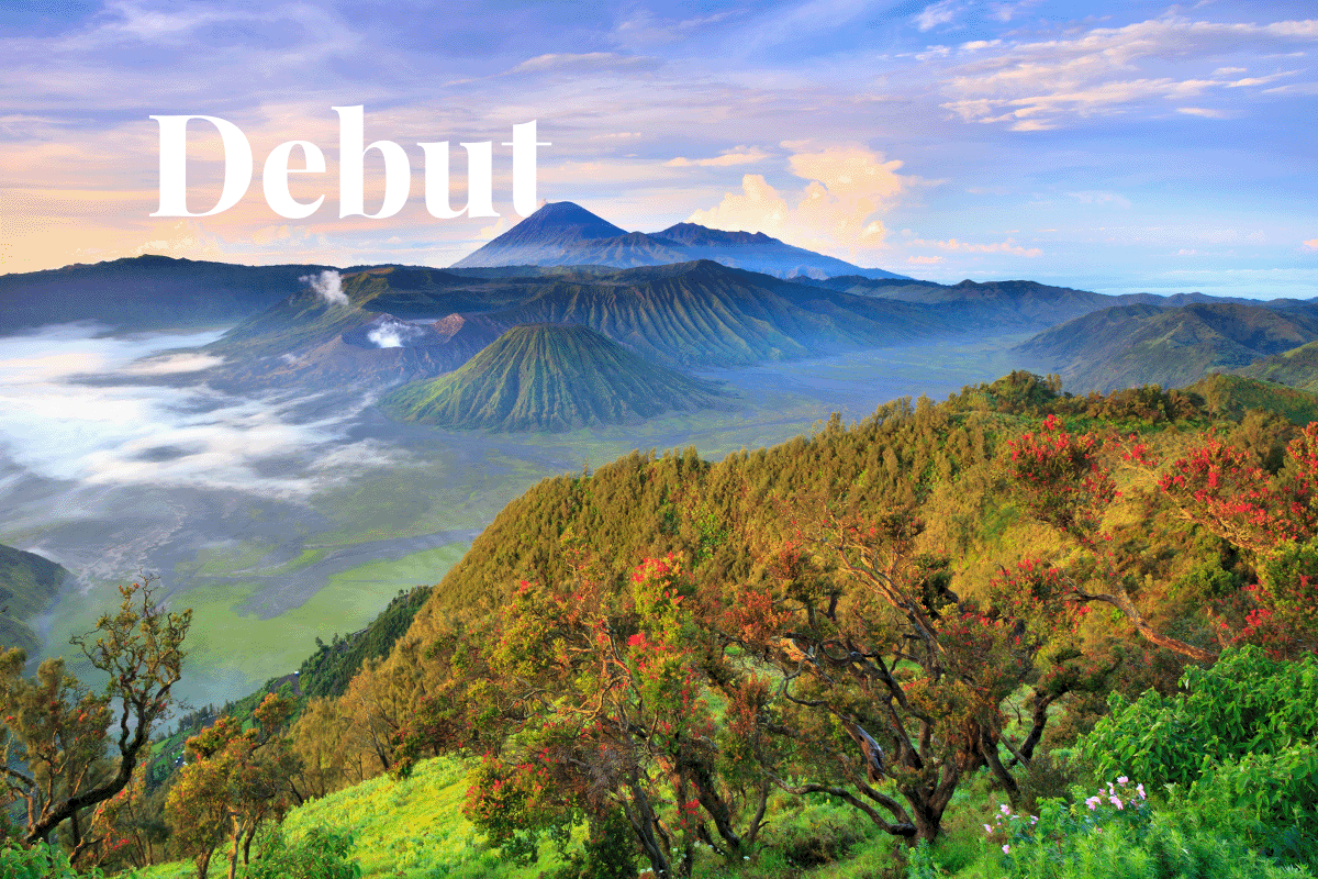 Indonesias carbon market debut_Bromo volcano at sunrise, Tengger Semeru National Park_visual 1