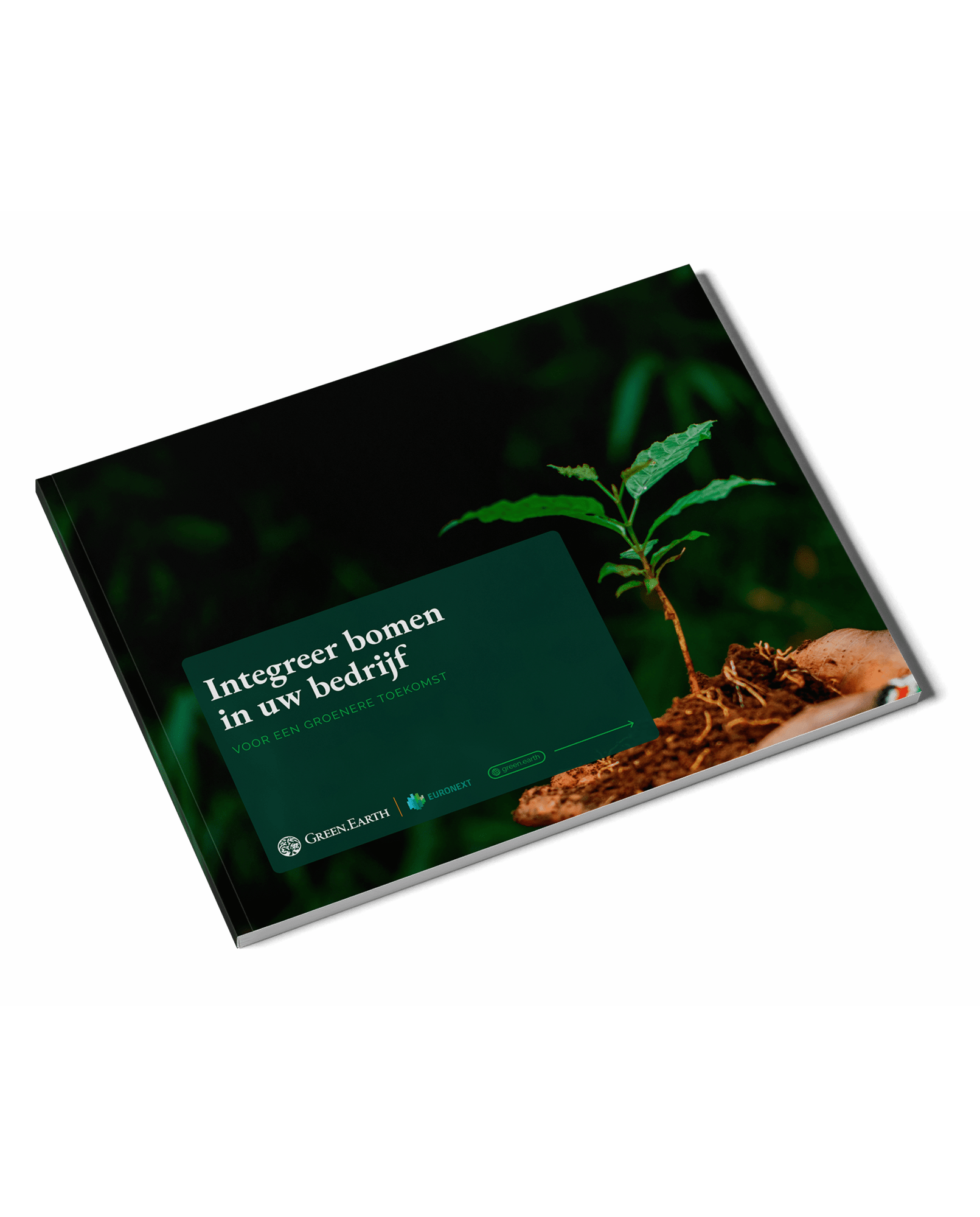 Integrate Trees into Your Business NL