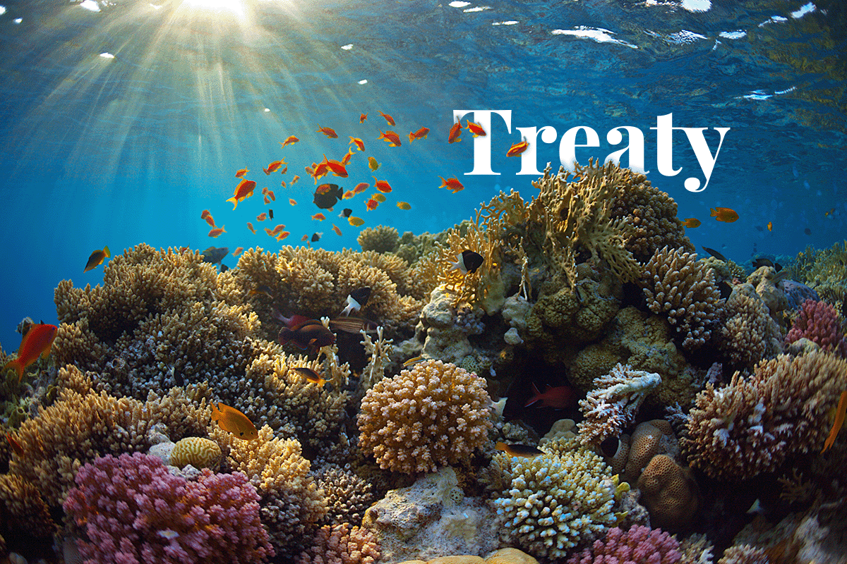International collaboration grows as nations discuss vital UN treaty to combat plastic pollution_Marine view of a coral reef_visual 1