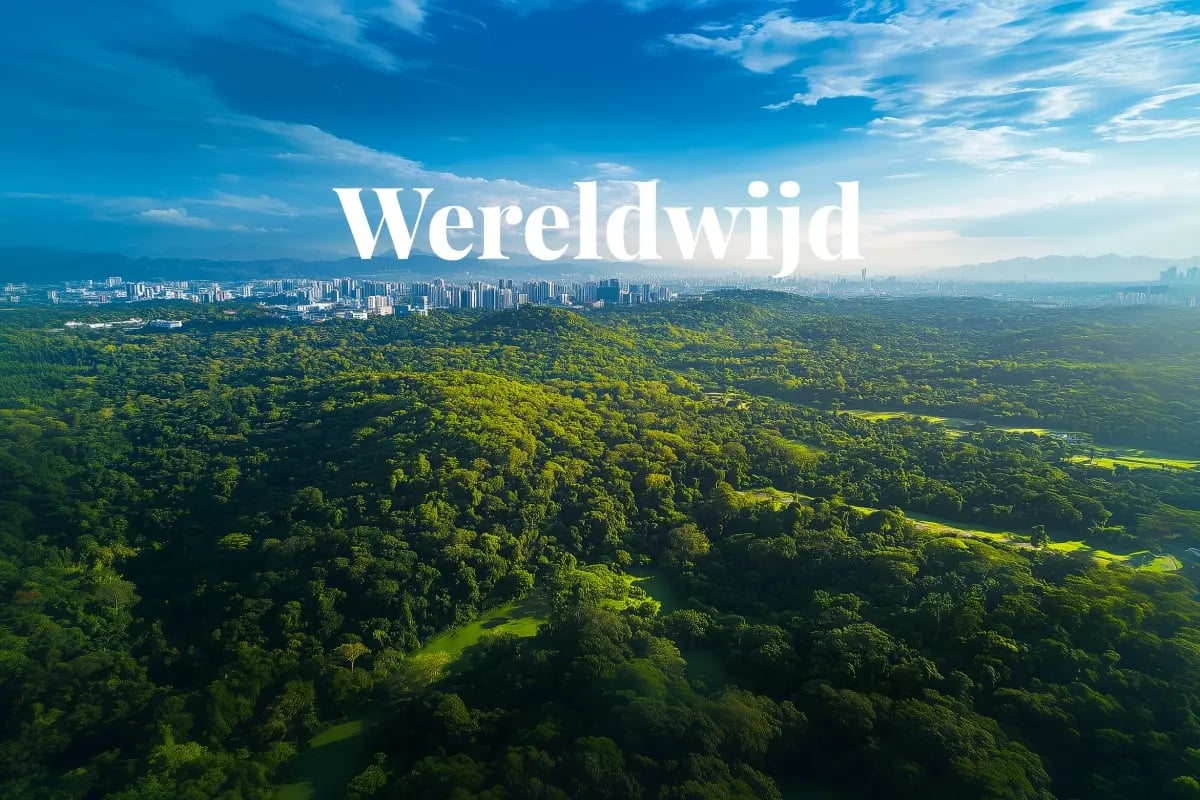 Investeren in duurzaamheid, trends en kansen wereldwijd_Vast deciduous forest stretching to the horizon, with city buildings in the distance_visual 1