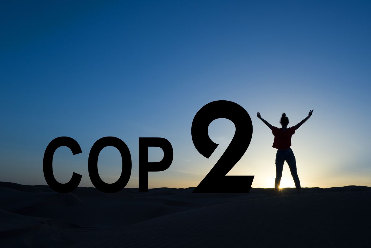 Investors build a carbon-efficient portfolio