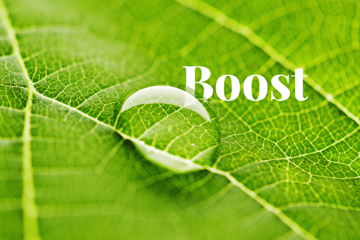 Isometric Raises $25M for Carbon Removal Transparency_Close-up of a raindrop on a leaf_visual 1