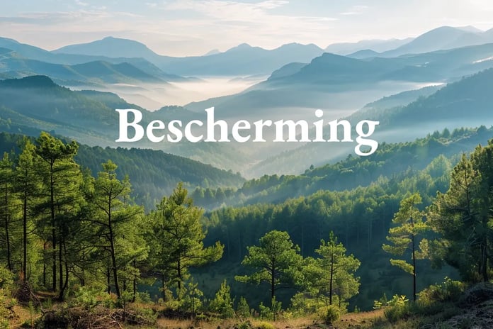 Italy launches national carbon credit registry to safeguard forests_visual 1_NL