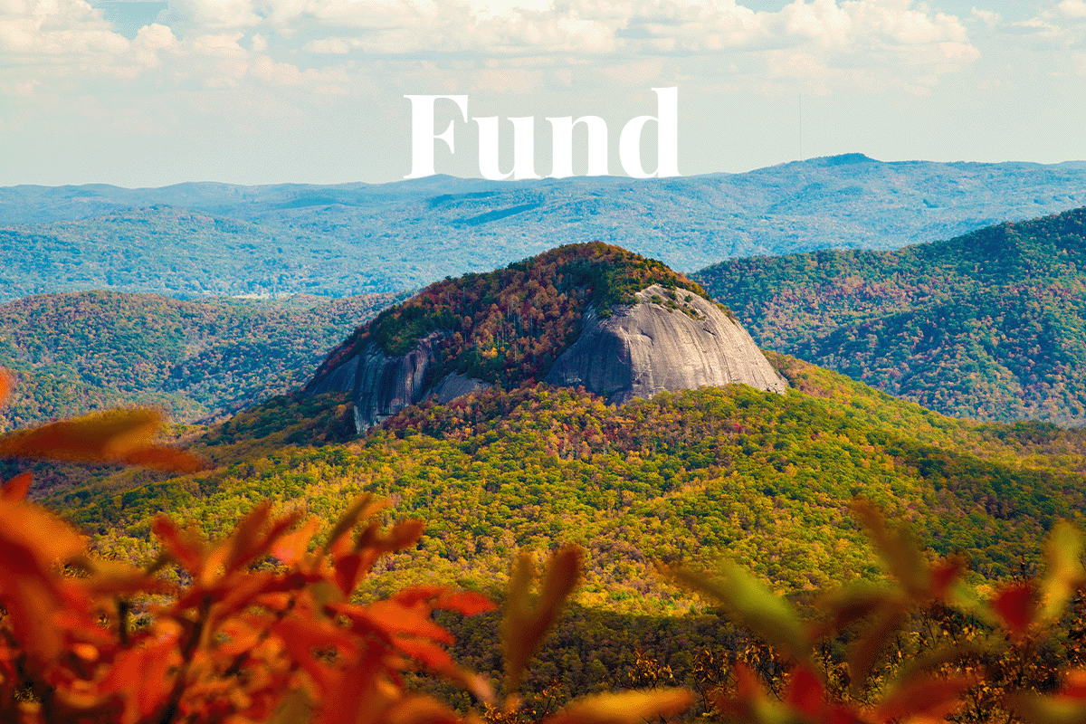 Japanese investors launch fund for North American forests_Looking Glass Rock in Pisgah National Forest_visual 1