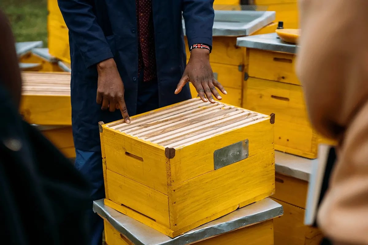 Kenya Beehive Project, from sold out to scaling up_Close-up of a team member from Kenya during training_visual 4