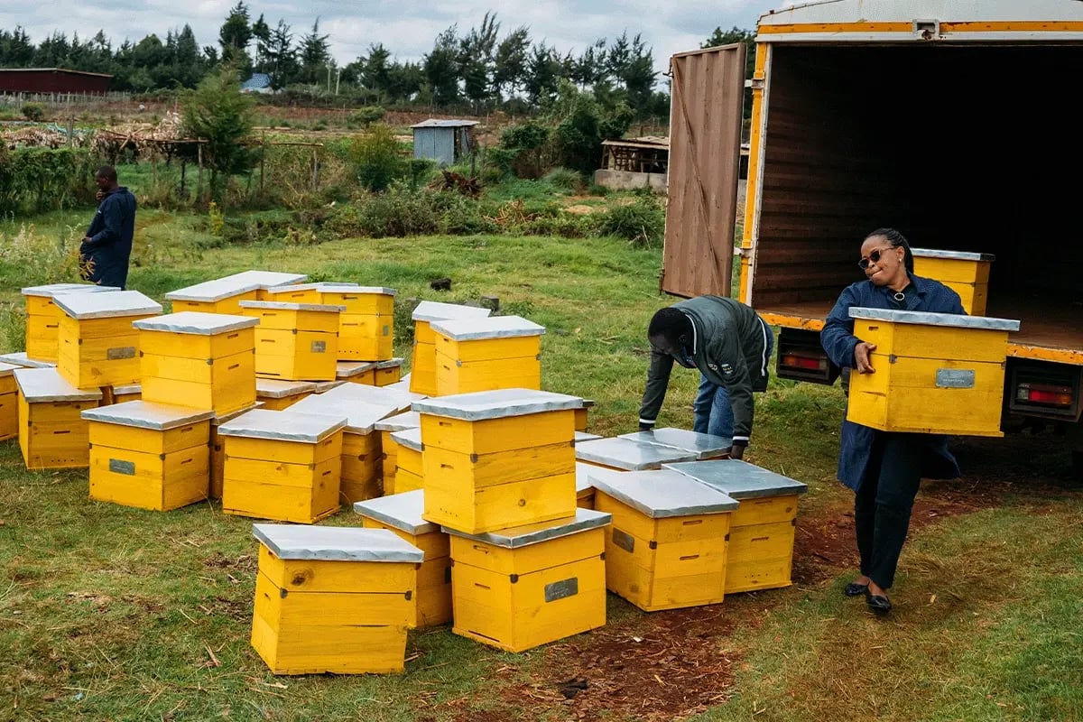 Kenya Beehive Project, from sold out to scaling up_The team from Kenya and farmers during beehive delivery_visual 2