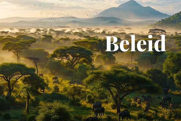 Kenya fast-tracks carbon market regulations aligned with Article 6_visual 1_NL