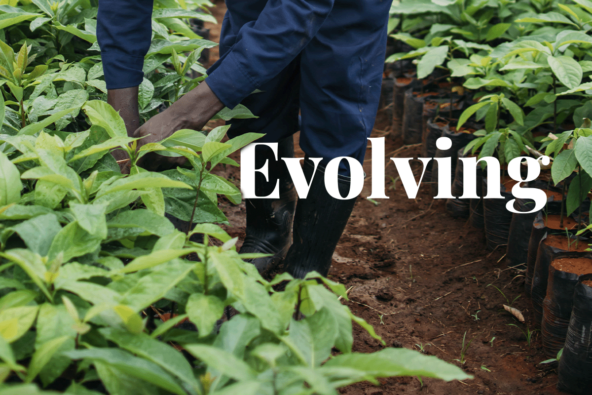 Key players in evolving carbon markets_A local working in a tree nursery in Kenya_visual 1