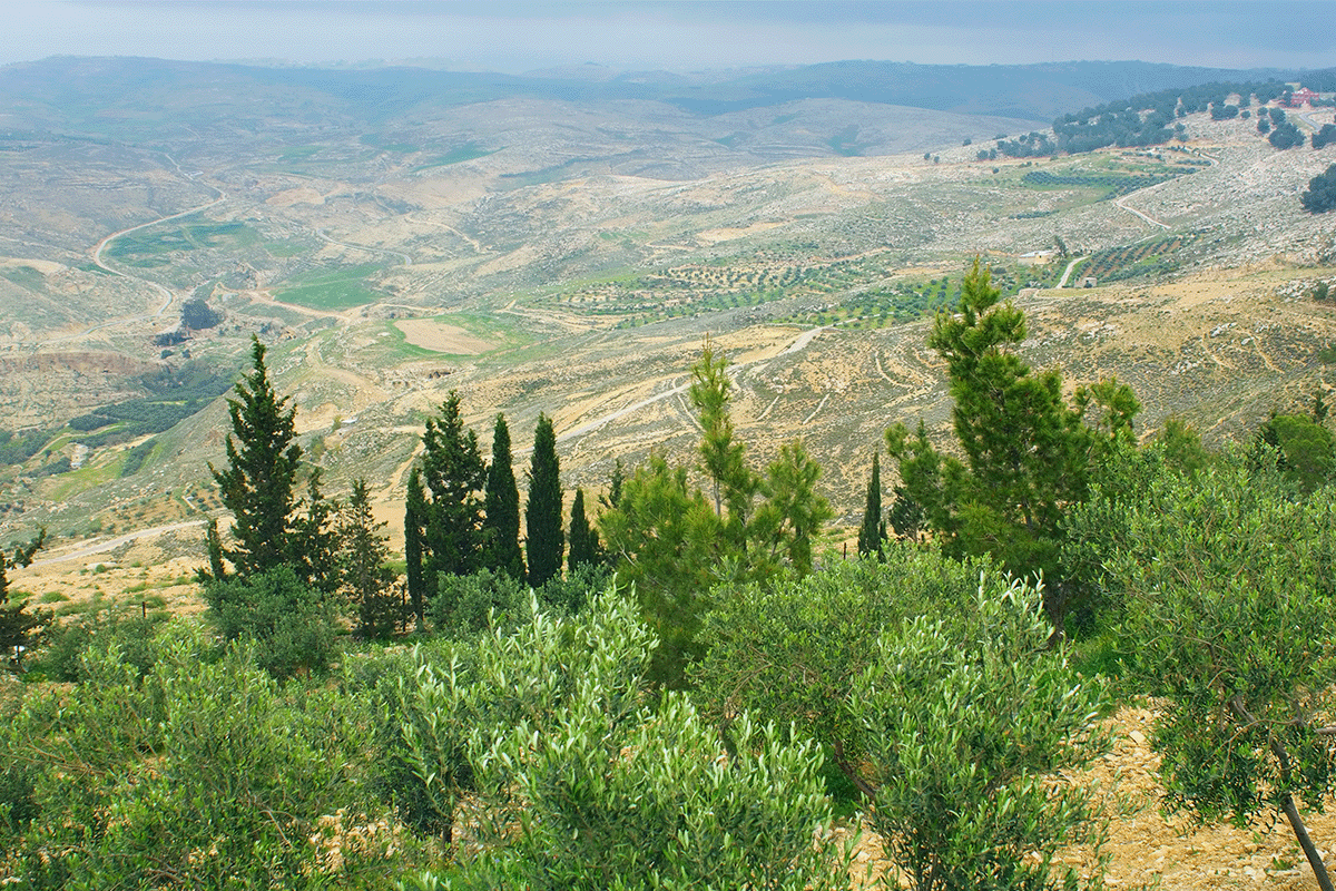 Key players in evolving carbon markets_Valley of the Dead Sea in Jordan_visual 5