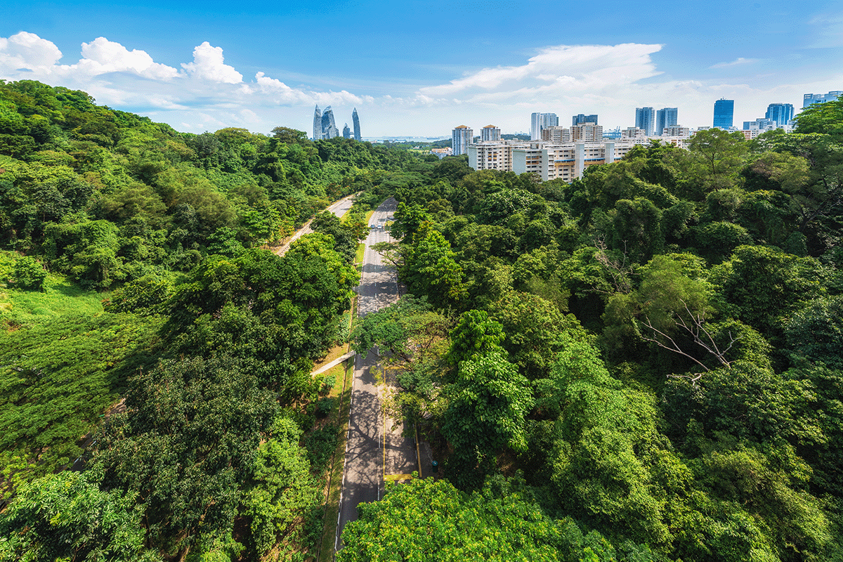 Key players in evolving carbon markets_View from Henderson Wave in Singapore_visual 7