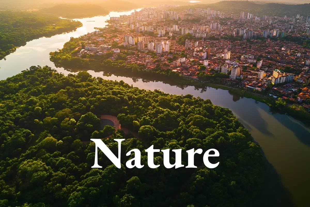 Key takeaways from COP30_ From resilience to carbon trading_visual 1_EN