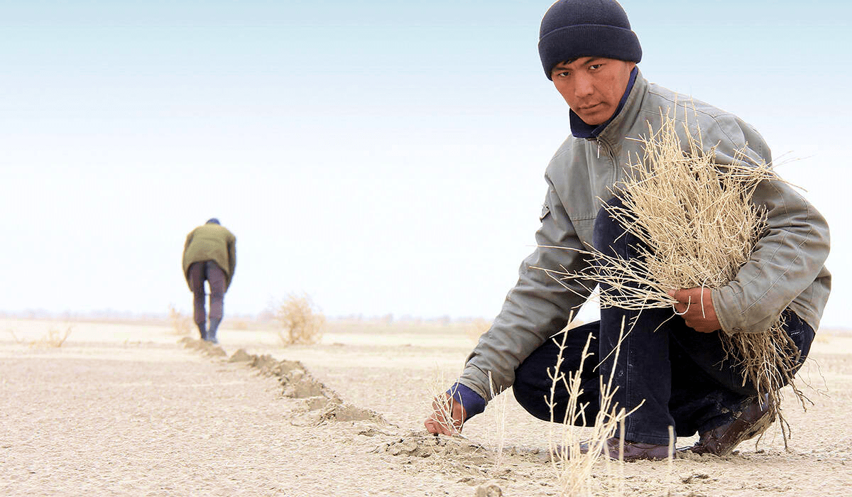 Lake Aral Afforestation Project_bullet point 2-min