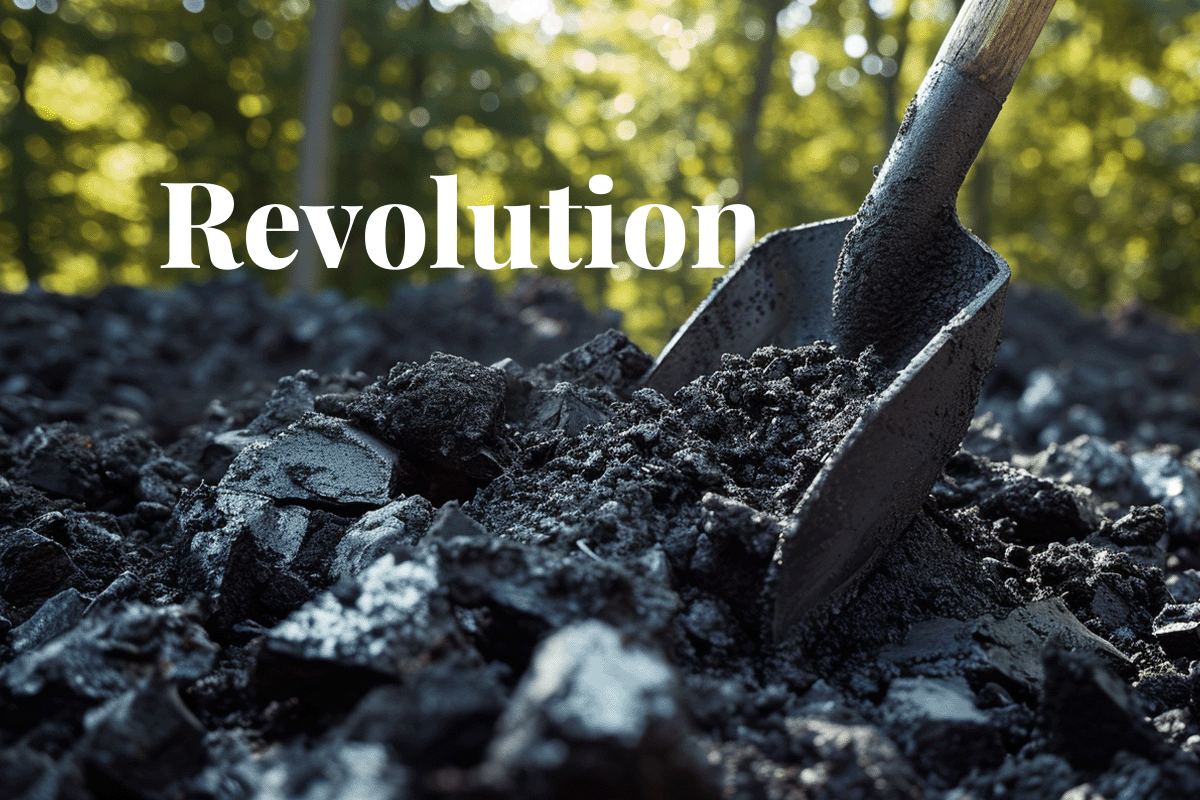 Maines biochar revolution_ turning wood chips into carbon credits_A close up on a pile of biochar_visual 1