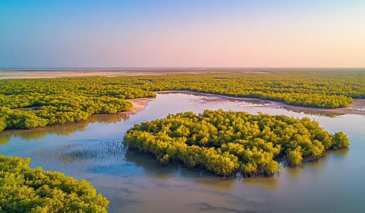Microsoft Secures 18M Carbon Credits in Long-Term Deal_Supported by Rubicon Carbon, the Delta Blue initiative_featured