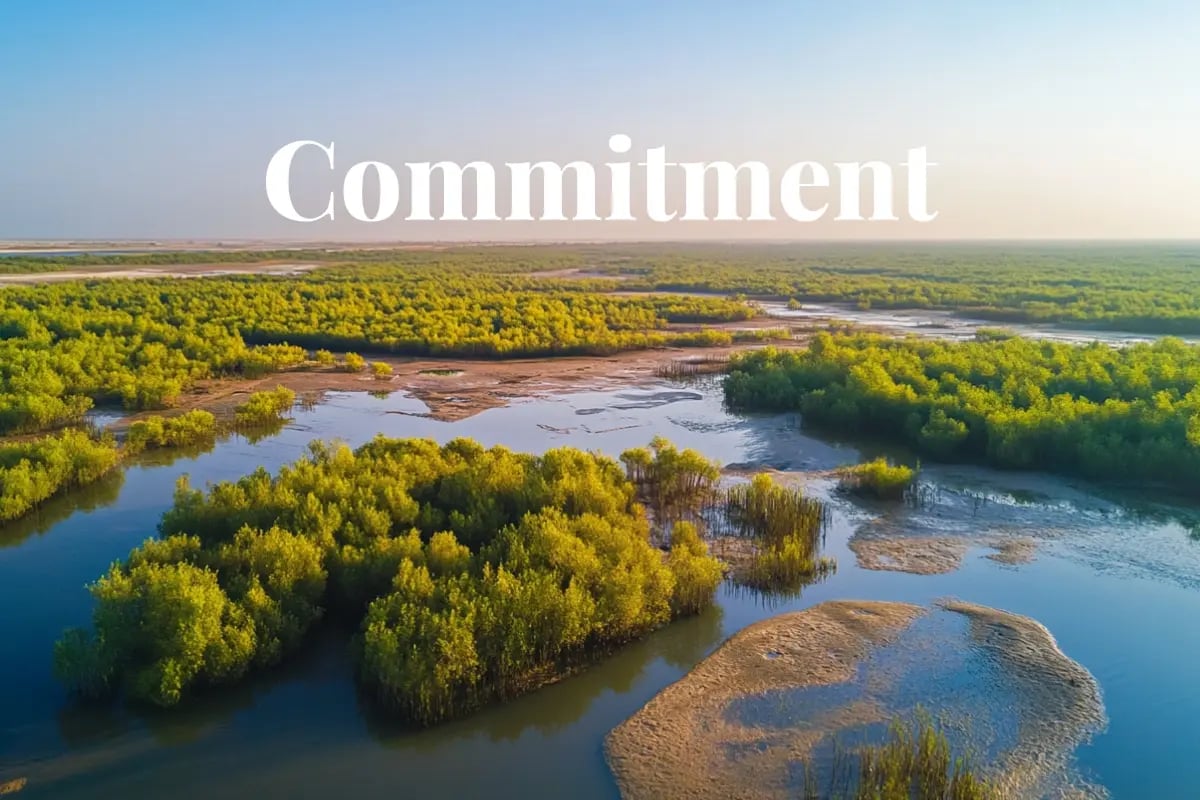 Microsoft deepens carbon removal strategy with 18m credit deal_The Delta Blue project, backed by Rubicon Carbon_visual 1