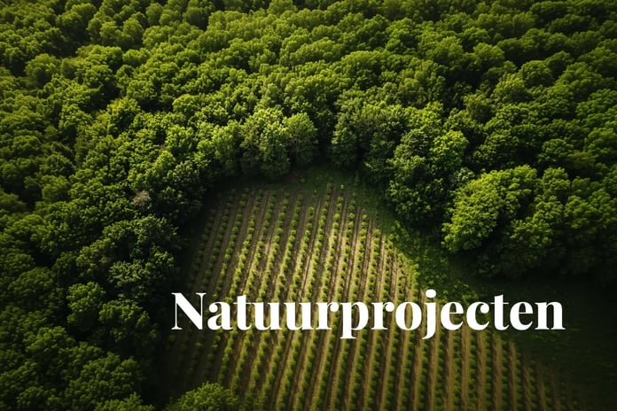 Microsoft deepens forest carbon commitment in new multi-million credit deal_visual 1_NL