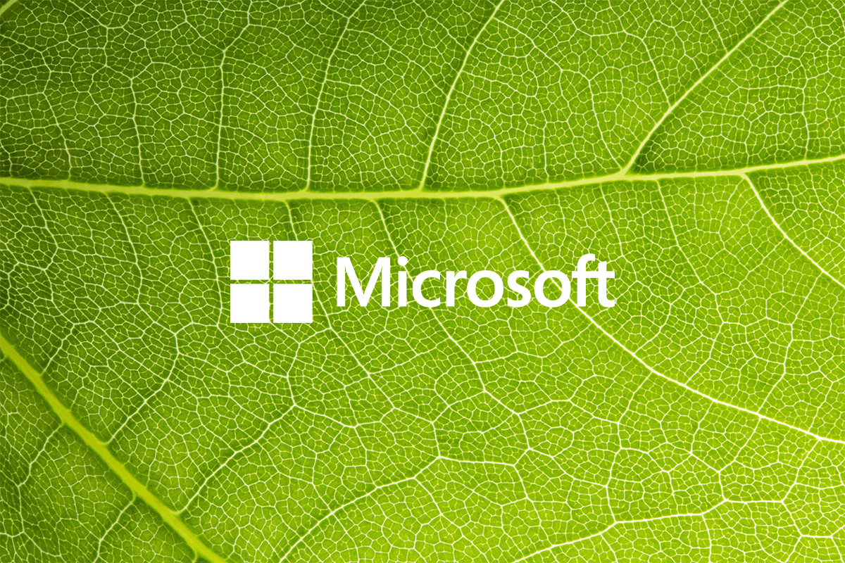 Microsofts 2030 carbon negativity roadmap_Close up on a green leaf texture_visual 1
