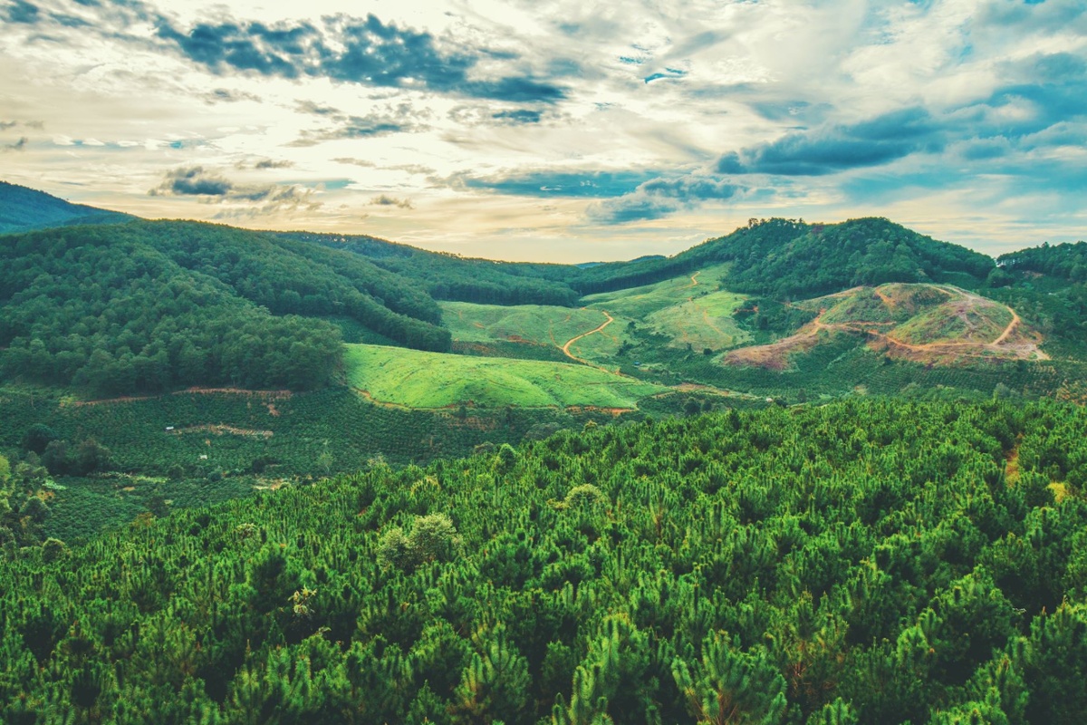 Mining and metals giant developing eight nature-based projects -1