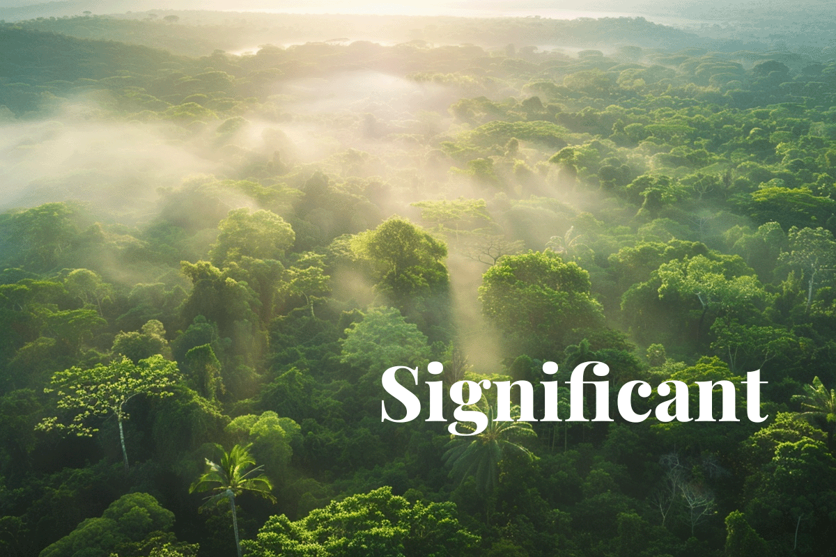 Mining giant Rio Tinto to offset its emissions with 3.5 million carbon credits_Aerial view of a morning mist in a forest in Guinea_visual 1