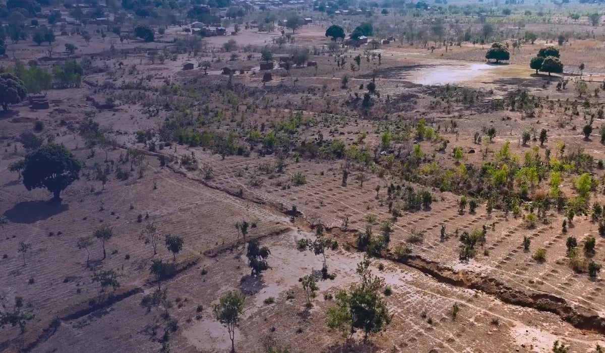 Namizimu Afforestation, Reforestation & Agroforestry Carbon Project, Malawi