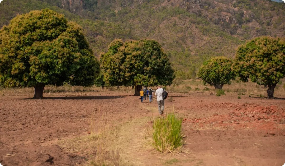Namizimu Afforestation, Reforestation & Agroforestry  Carbon Project_visual 2