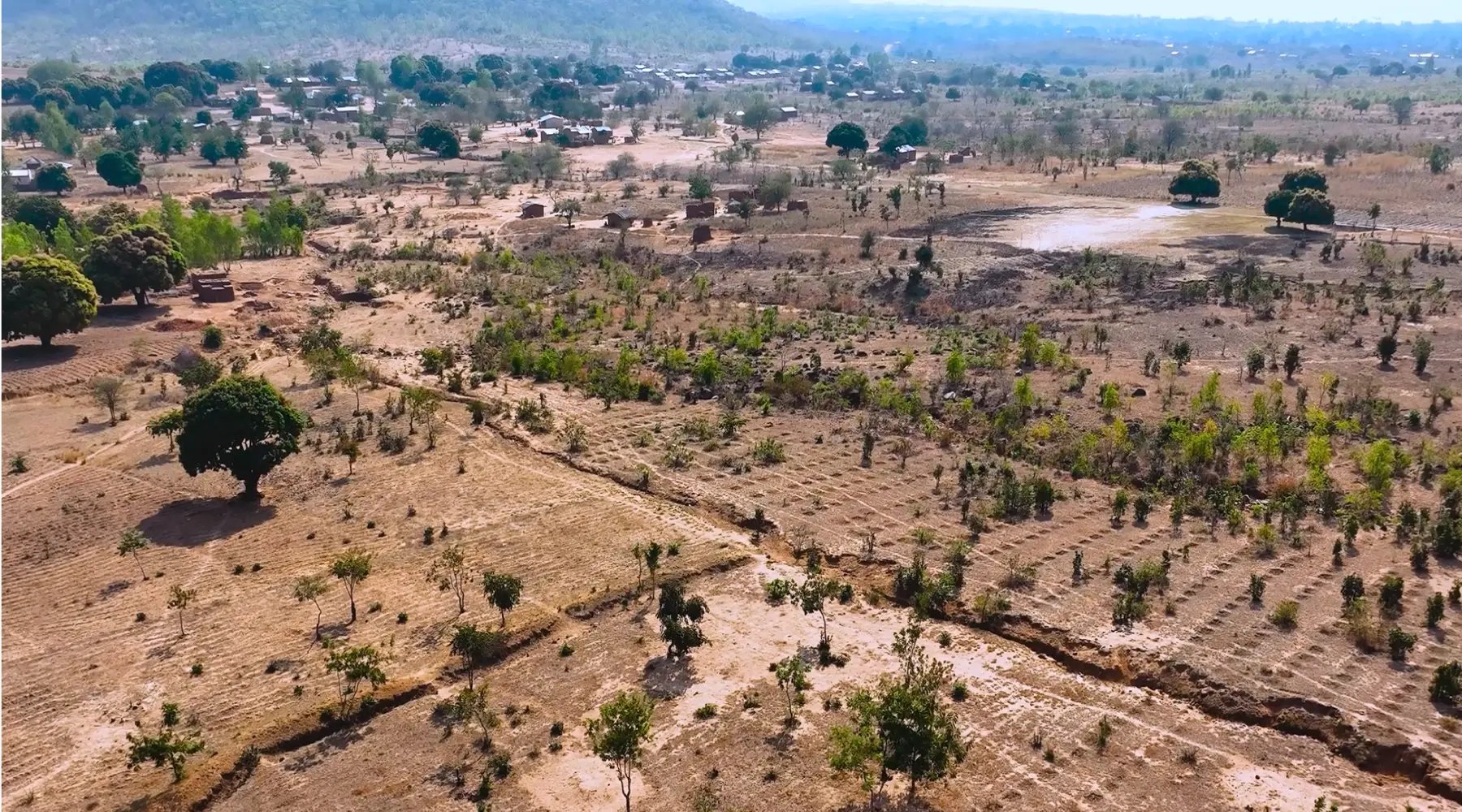 Namizimu Afforestation, Reforestation & Agroforestry Carbon Project