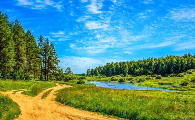 Nature-based markets valued at $7 trillion