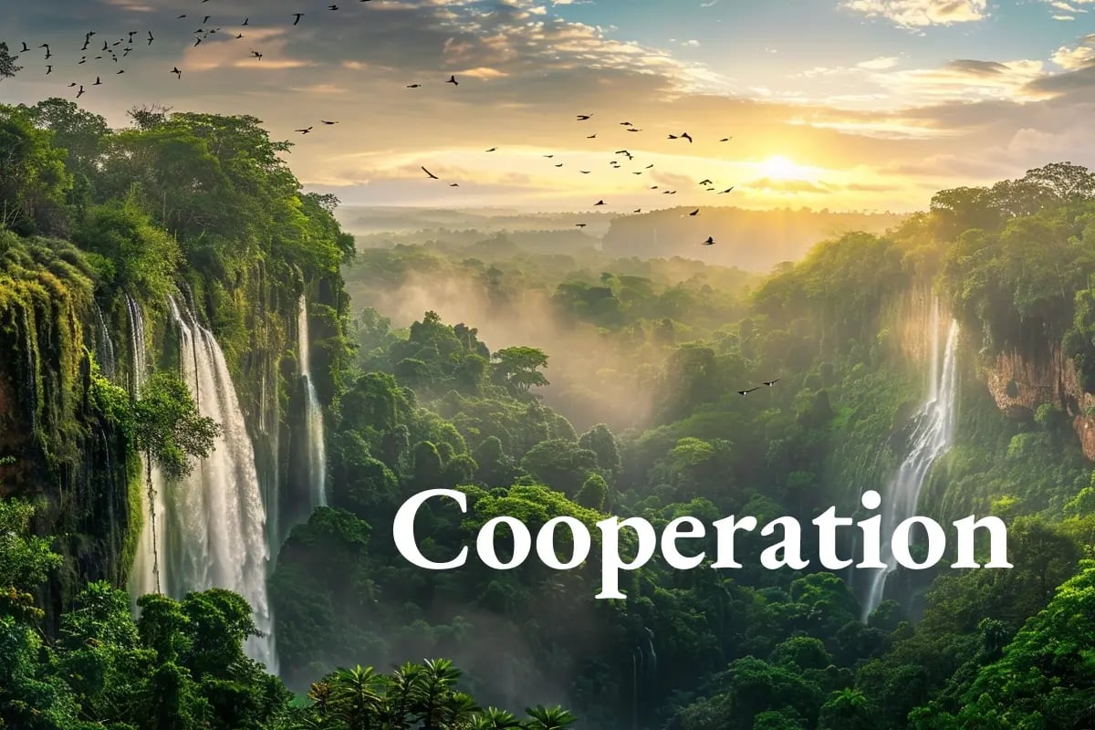 New Taiwan–Paraguay pact boosts Article 6 carbon market collaboration_visual 1