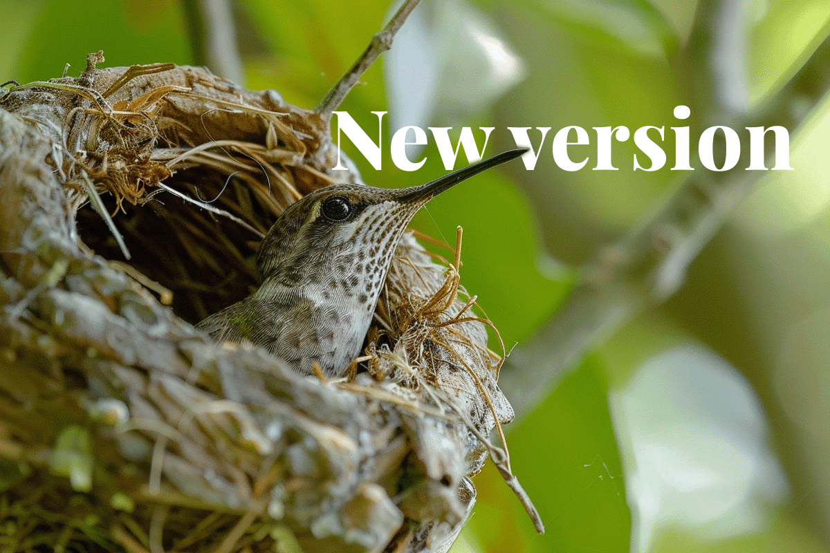 New VCS version 4.7 launched_ Verras commitment to enhanced carbon standards_A close-up of a hummingbird in its nest_visual 1