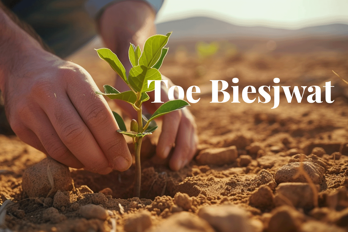 New Year for Trees with the Tu BiShvat festival_Close up on a man planting a tree in a desert area_visual 1_NL