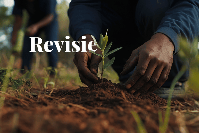 New carbon tax measures in South Africa to drive local offsets_A close-up of a tree nursery worker planting a seedling in rich South African soil, with a vibrant forest in the background_visual 1_NL